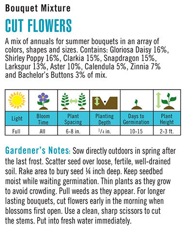 Cut Flowers 'Bouquet Mixture'