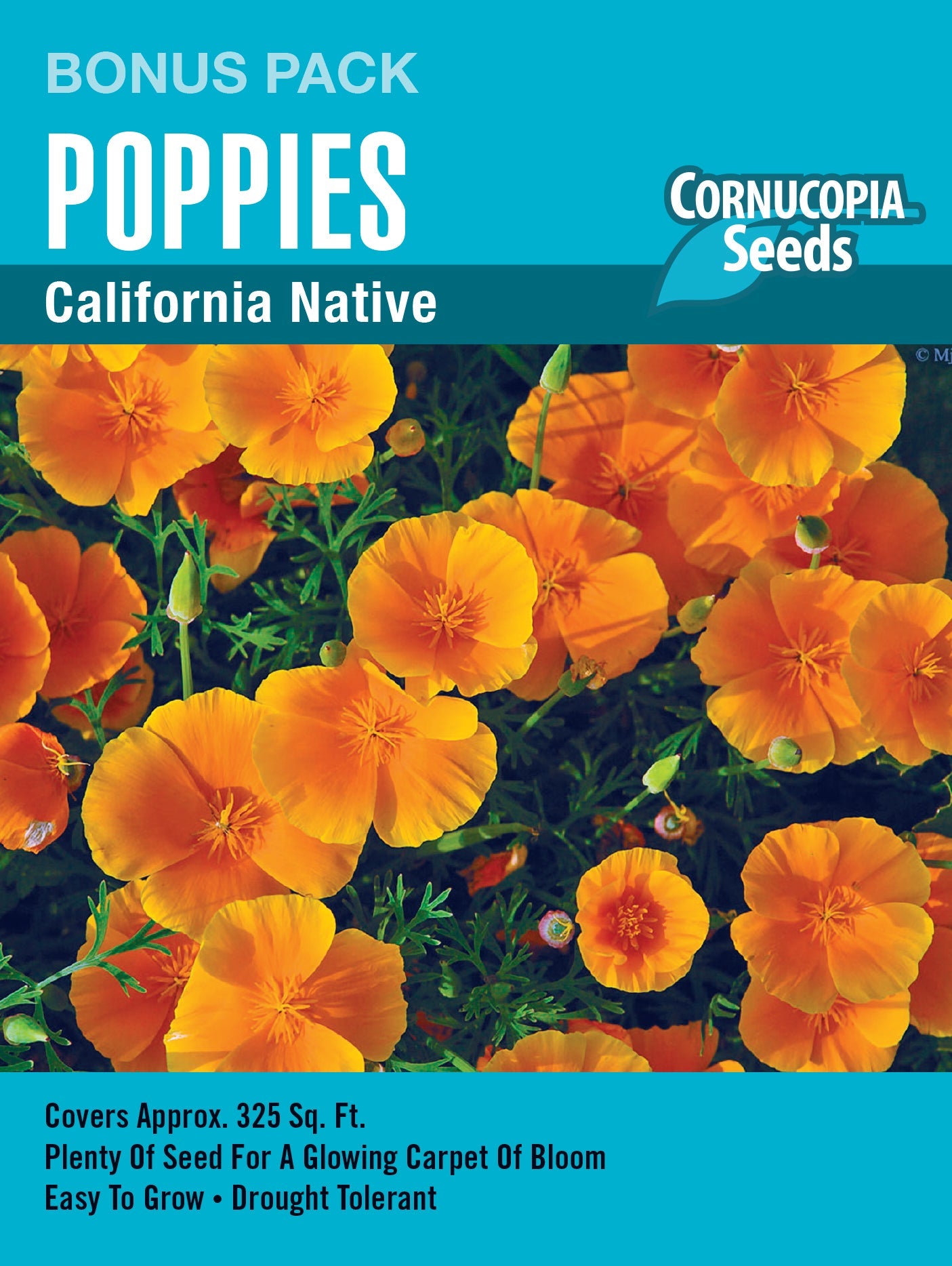 Heirloom California Poppy, Orange - Bonus Packet