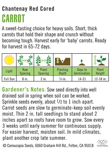 Carrot Chantenay Red Cored Seeds