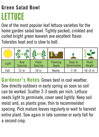 Lettuce Green Salad Bowl Seeds