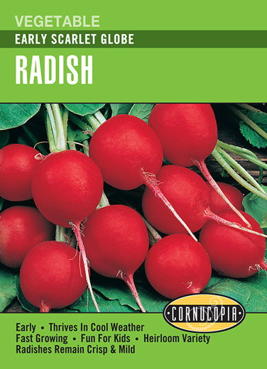 Heirloom Radish, Early Scarlet Globe