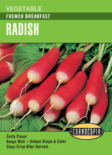 Heirloom Radish, French Breakfast