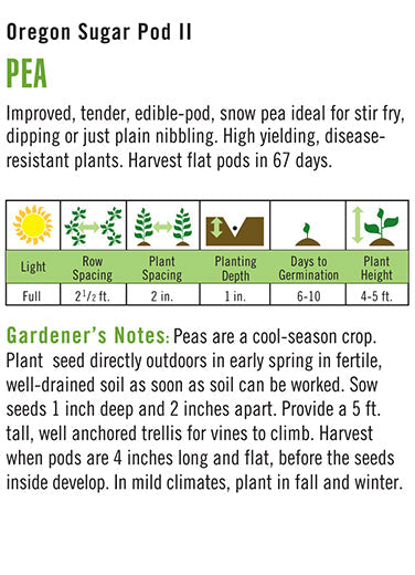 Heirloom Pea, Oregon Sugar Pod II