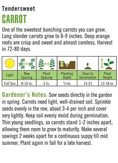 Carrot Tendersweet Seeds
