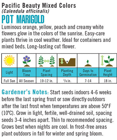 Pot Marigold (Calendula) Pacific Beauty Mixed Colors