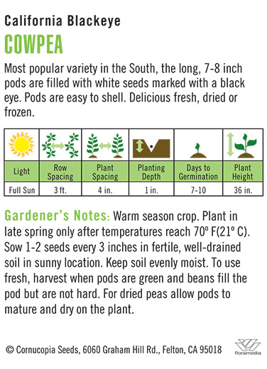 Heirloom Cowpea, California Blackeye