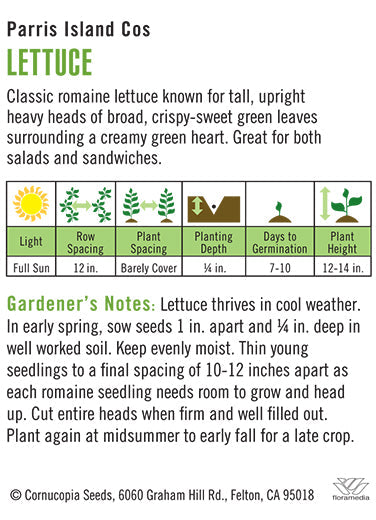 Heirloom Lettuce, Parris Island Cos