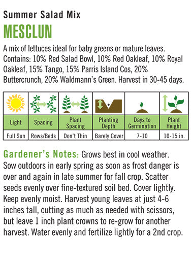 Heirloom Lettuce, Mesclun Summer Salad Mix
