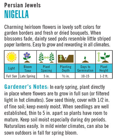 Nigella Persian Jewels