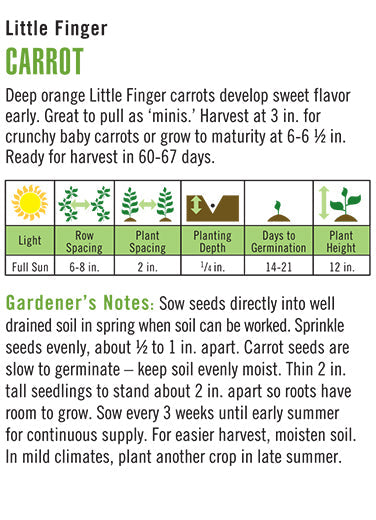 Carrot Little Finger Seeds