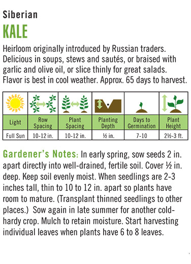 Kale Siberian Seeds