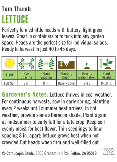 Heirloom Lettuce, Tom Thumb