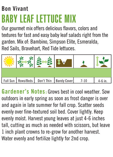 Heirloom Lettuce, Bon Vivant Baby Leaf Mix