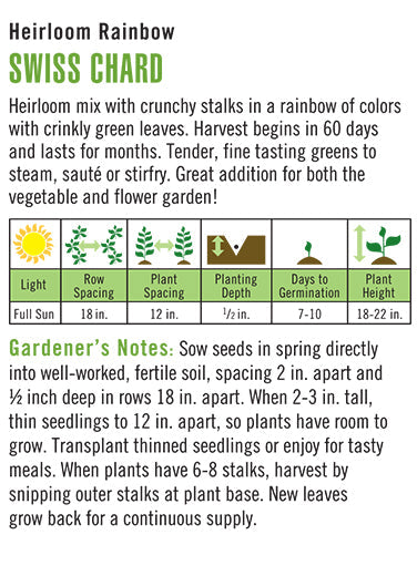 Heirloom Rainbow Swiss Chard