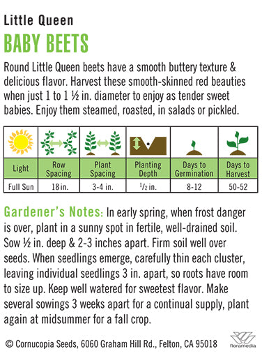 Baby Beet "Little Queen"