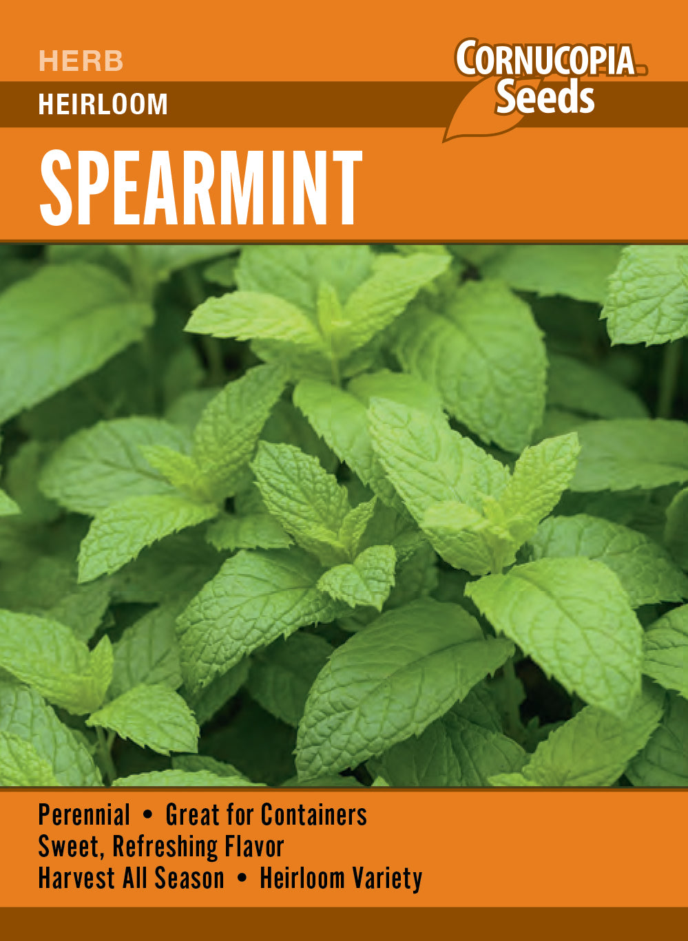Spearmint
