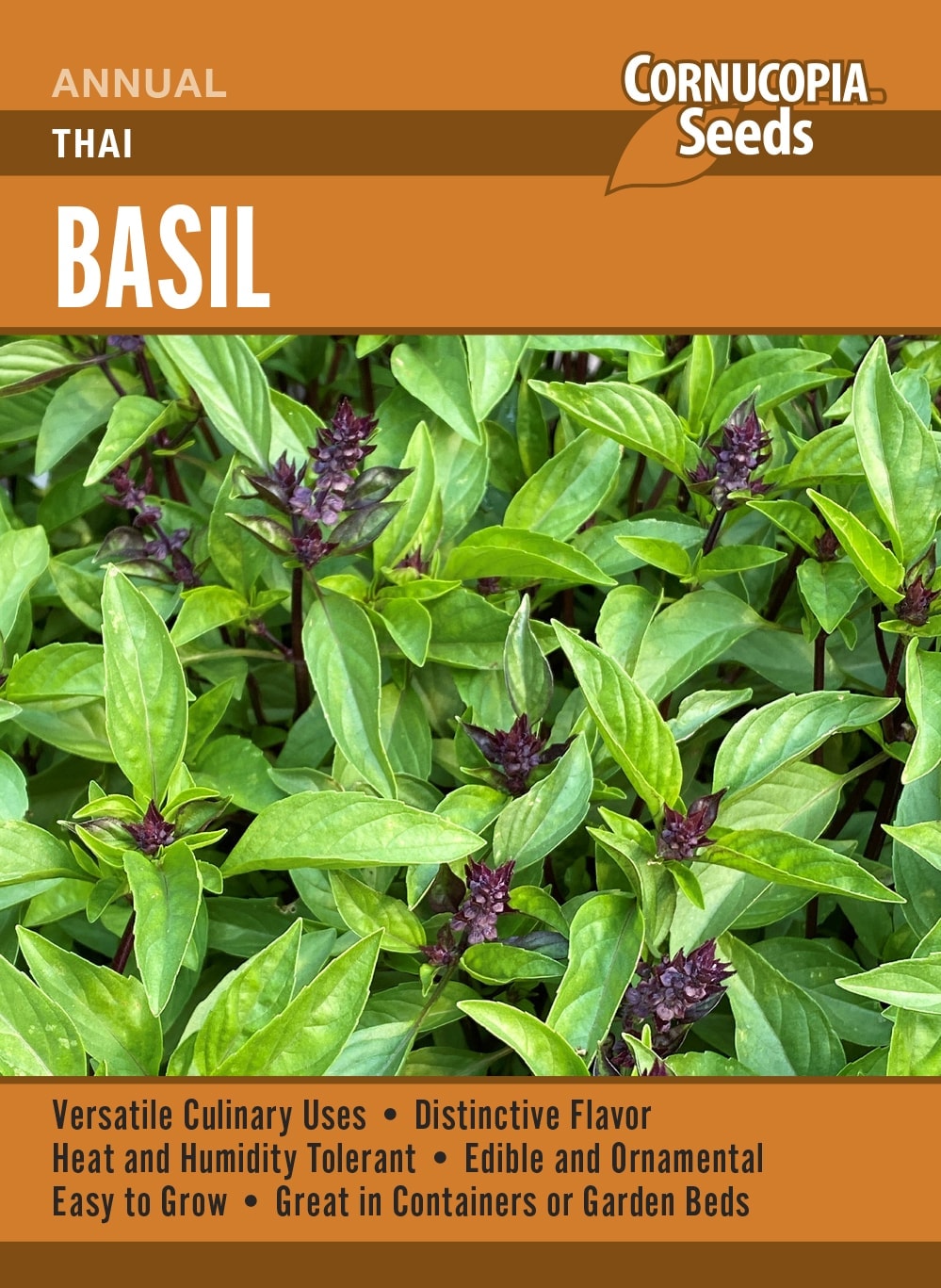 Basil - Thai