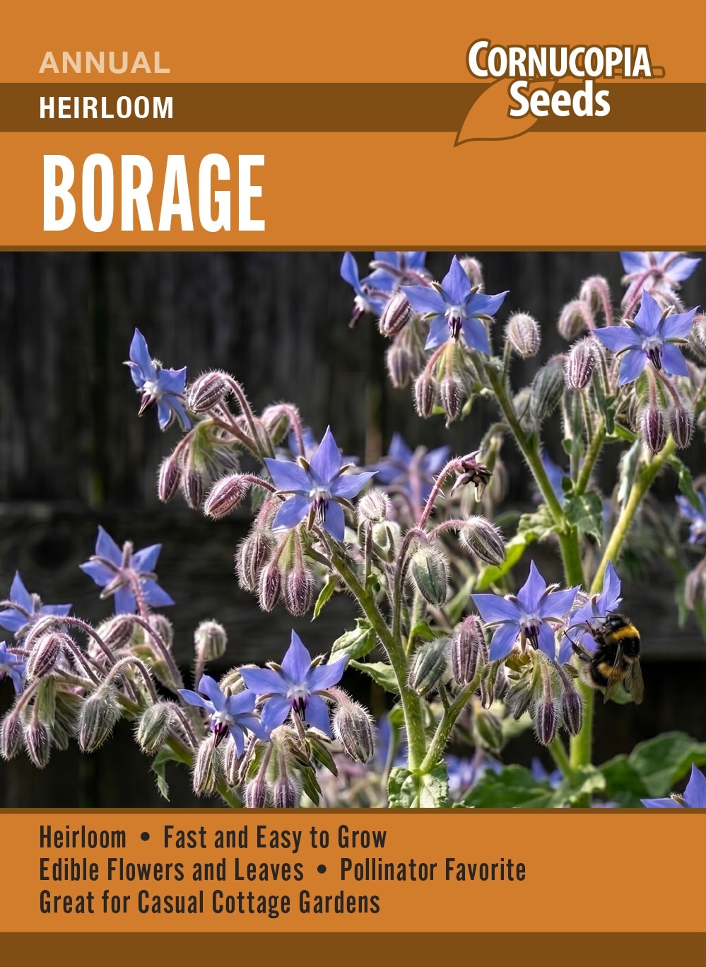 Borage - Heirloom