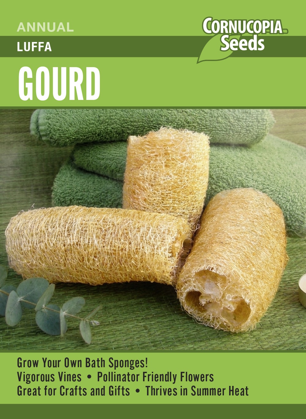 Gourd - Luffa