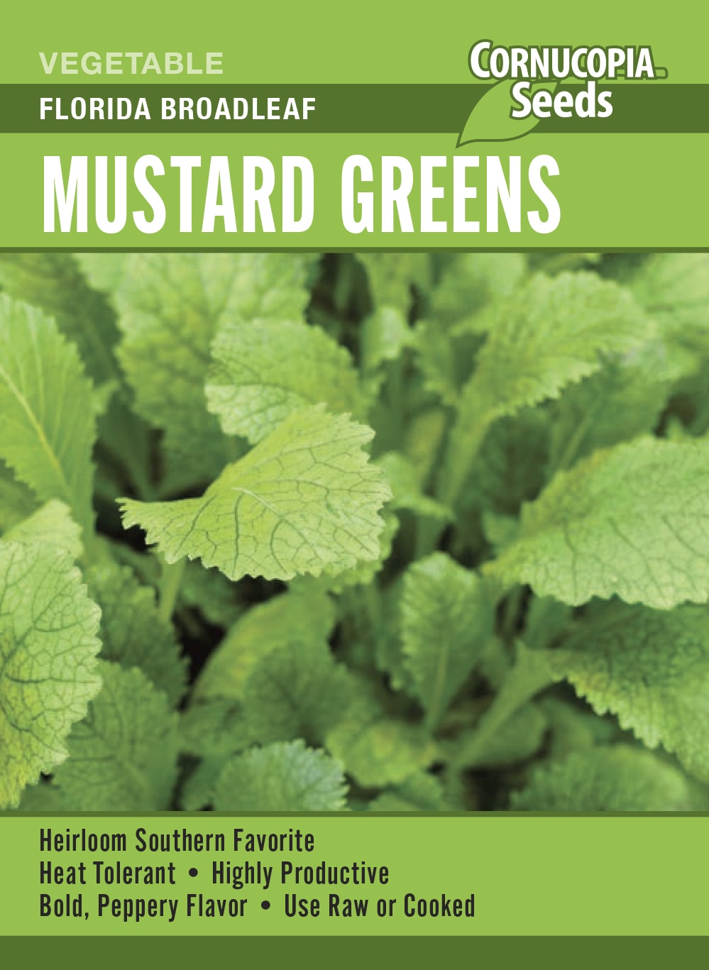 Mustard Greens - Florida Broadleaf