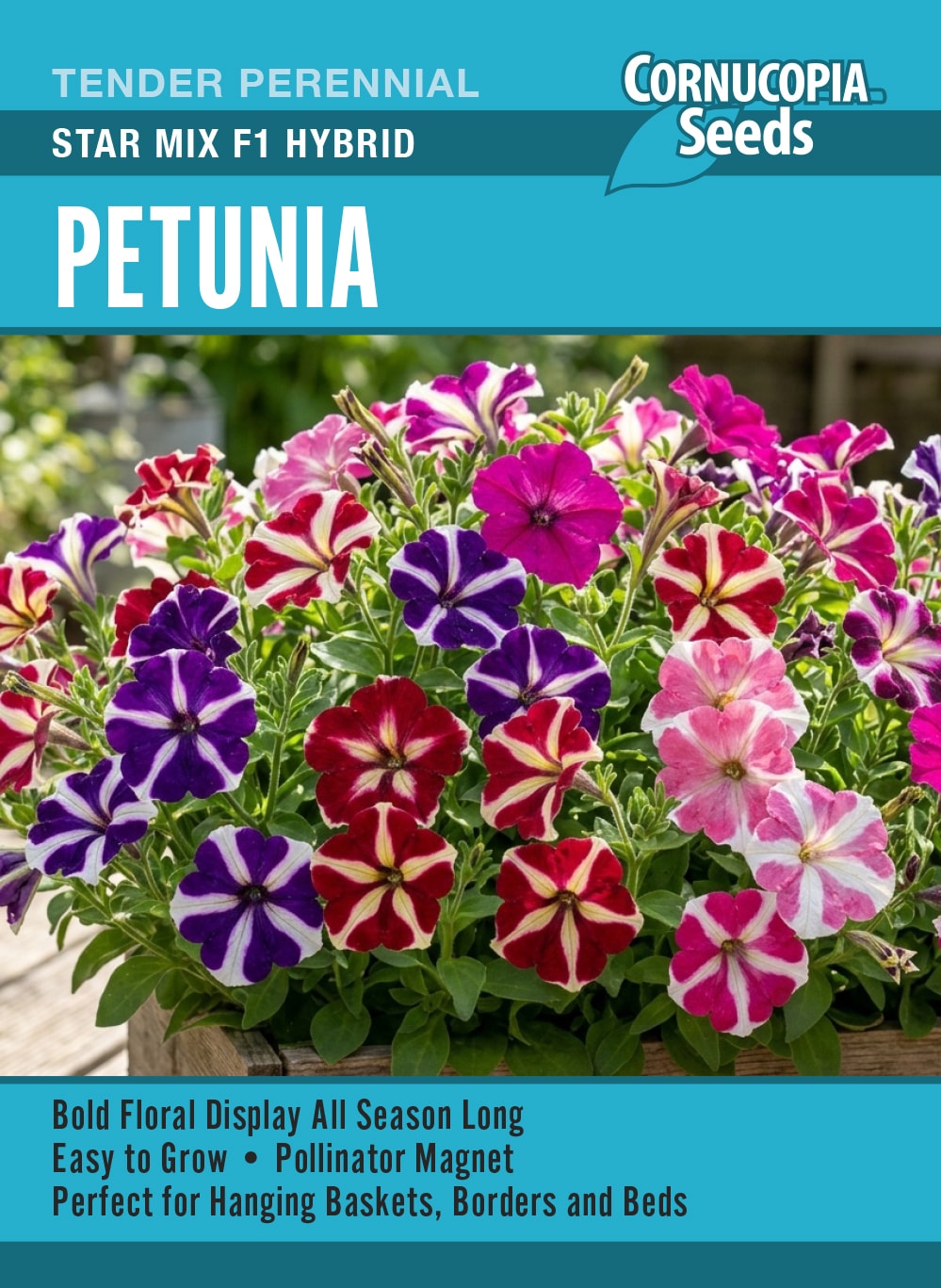 Petunia - Star Mix F1 Hybrid