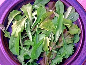 Heirloom Lettuce, Bon Vivant Baby Leaf Mix