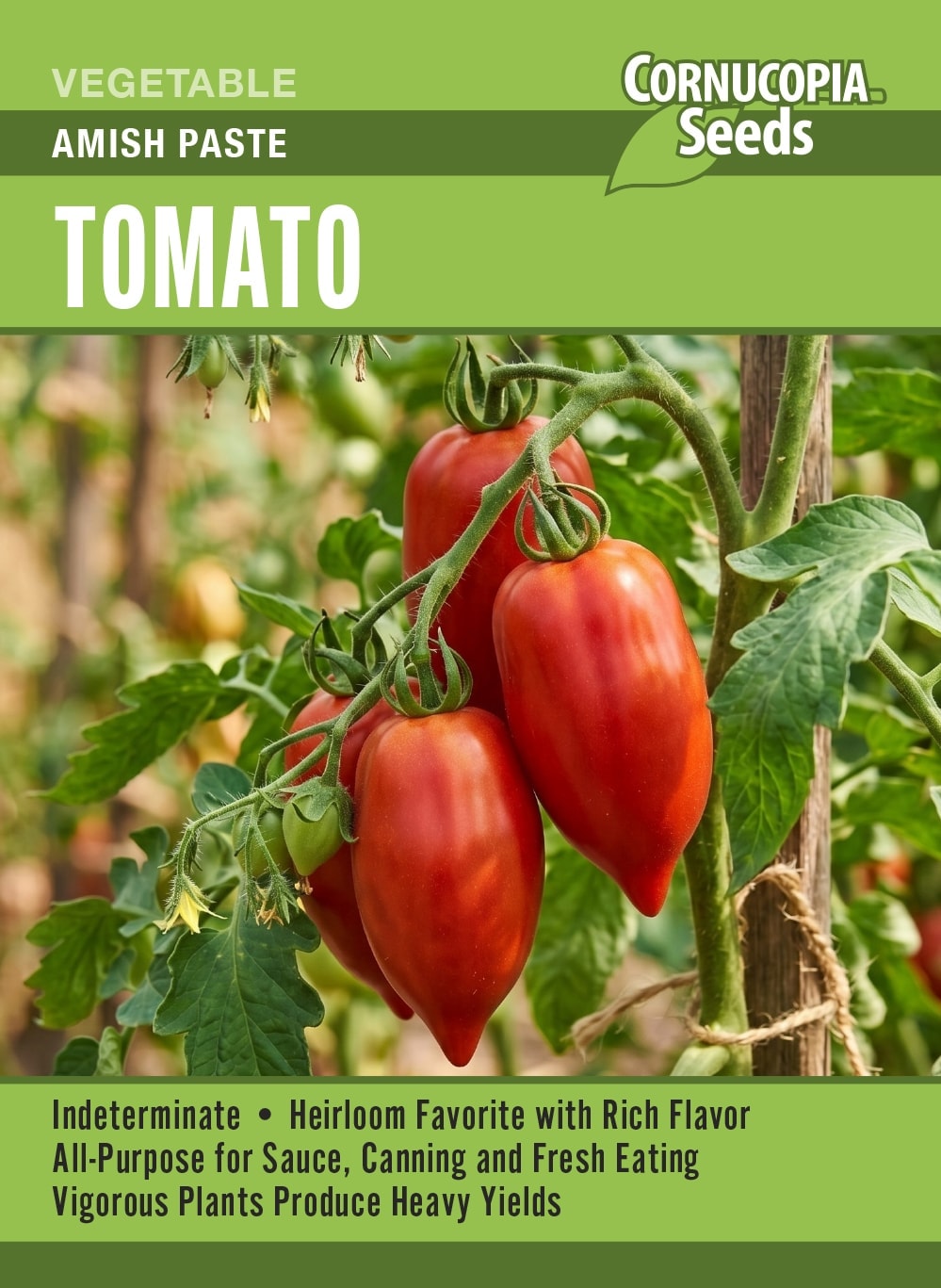 Tomato - Amish Paste