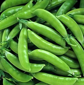 Heirloom Pea, Super Sugar Snap