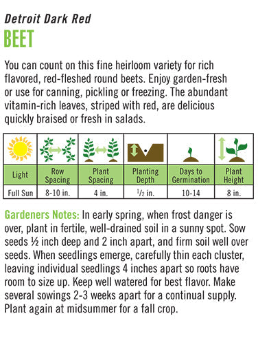 'Detroit Dark Red' Organic Heirloom Beet