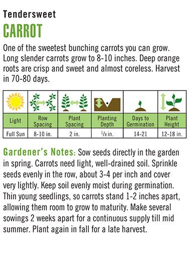 'Tendersweet' Organic Carrot