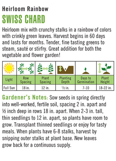 'Rainbow' Organic Swiss Chard