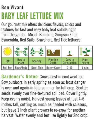 'Bon Vivant Baby Leaf Mix' Organic Lettuce