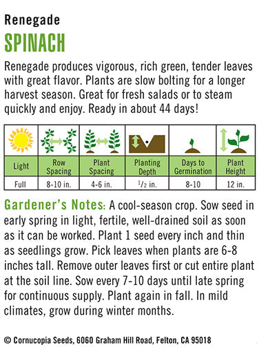 'Renegade' Organic Spinach