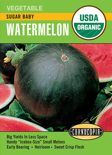 'Sugar Baby' Organic Watermelon