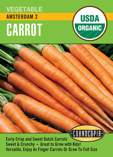 'Amsterdam 2' Organic Carrot