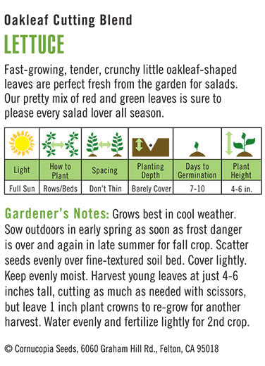'Oakleaf Cutting Blend' Cutting Lettuce