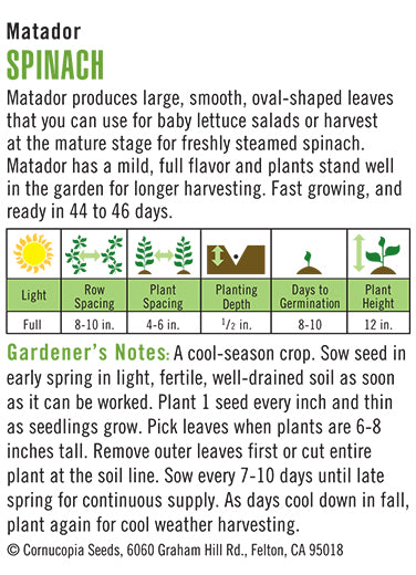 'Matador' Organic Spinach