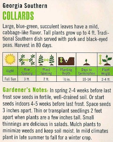 Collards Georgia Southern Seeds