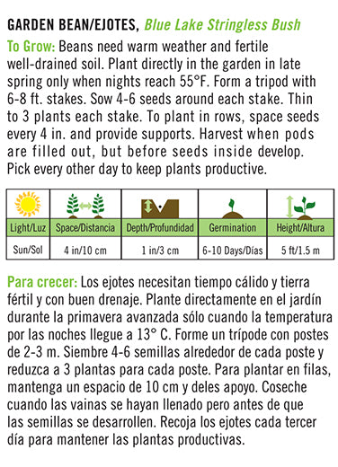 'Blue Lake Stringless Pole' Garden Bean/Ejotes - English/Spanish