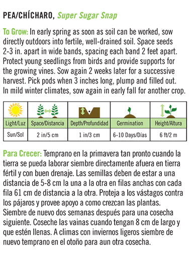 'Super Sugar Snap' Pea/Chícharo - Spanish/English