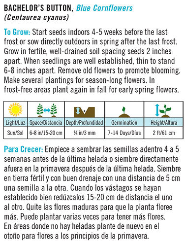 'Blue Cornflowers' Bachelor's Button - Spanish/English