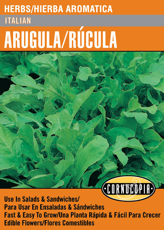 'Italian' Arugula/Rúcula - Spanish/English