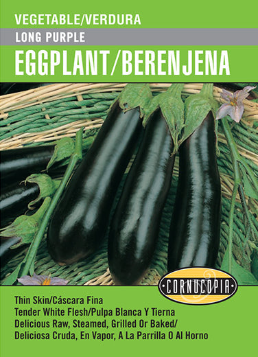 'Long Purple' Eggplant/Berenjena - Spanish/English