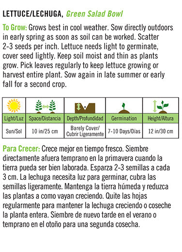 'Green Salad Bowl' Lettuce/Lechuga - Spanish/English