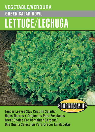 'Green Salad Bowl' Lettuce/Lechuga - Spanish/English