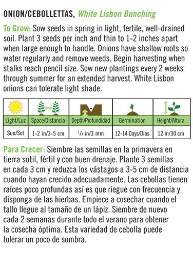 'White Lisbon Bunching' Scallion/Cebolletas - Spanish/English