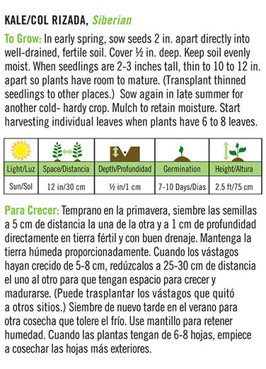 'Siberian' Kale/Col Rizada - Spanish/English