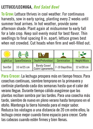'Red Salad Bowl' Lettuce/Lechuga - Spanish/English