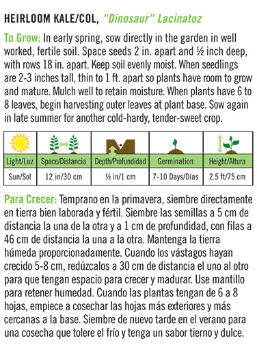 'Dinosaur Lacinato' Heirloom Kale/Col - Spanish/English