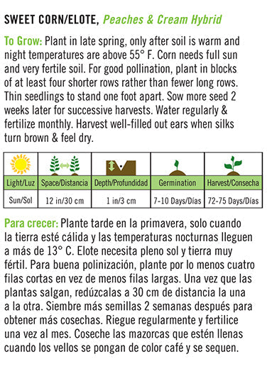 'Peaches & Cream Hybrid' Sweet Corn/Elote - Spanish/English